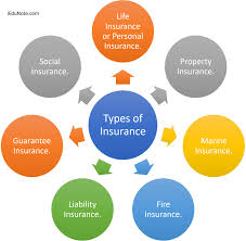 Types of Insurance: A Comprehensive Guide